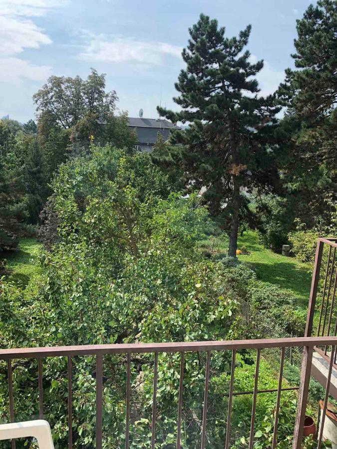 Hostel House Near Bvv-Vystaviste 브르노 외부 사진